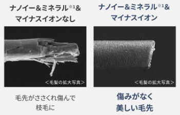 枝毛の比較写真