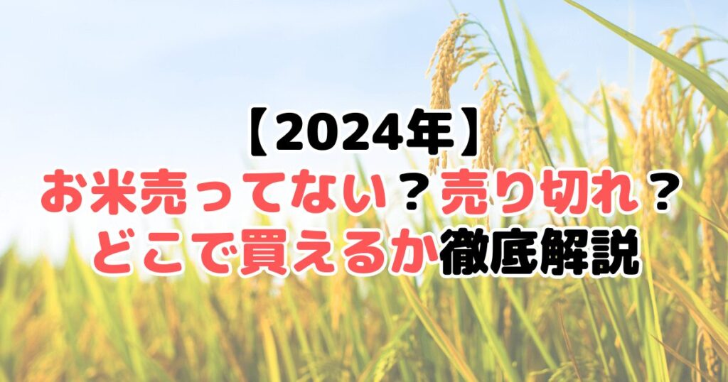 【2024年】お米売ってない？売り切れ？どこで買えるか徹底解説