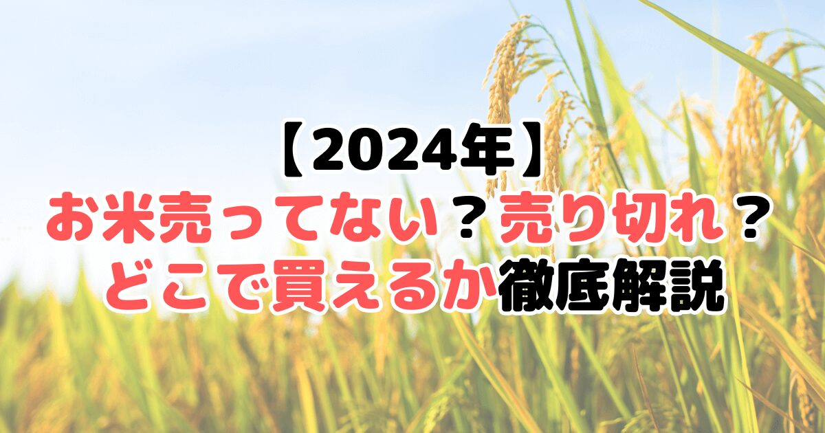 【2024年】お米売ってない？売り切れ？どこで買えるか徹底解説