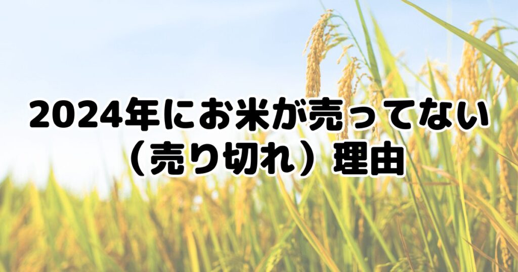 2024年にお米が売ってない（売り切れ）理由