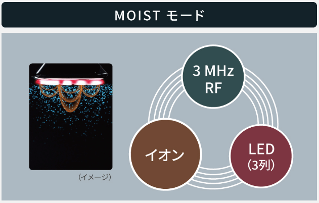 MOISTモード