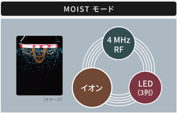 MOISTモード