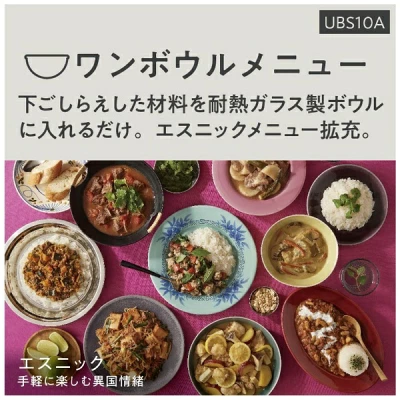 NE-UBS10Aの特長
