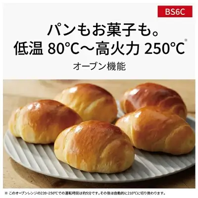 新型NE-BS6Cの特長