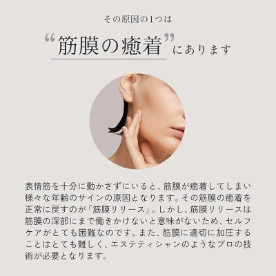 高いフェイスポインターの特長