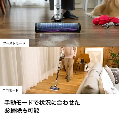 CleanSense iQ+ IW3241Jの特長
