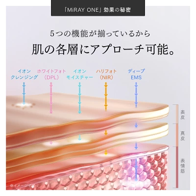 マイトレックスミライワンの特長