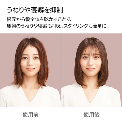 ダイソン HD17の特長