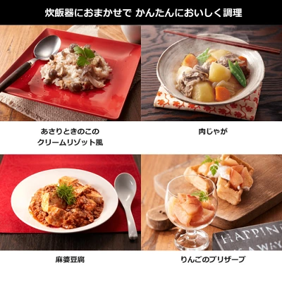 型落ちJRI-A100の特長