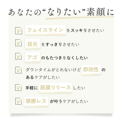 新型ビューティーフェイススティックリンの特長