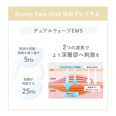 新型ビューティーフェイススティックリンの特長
