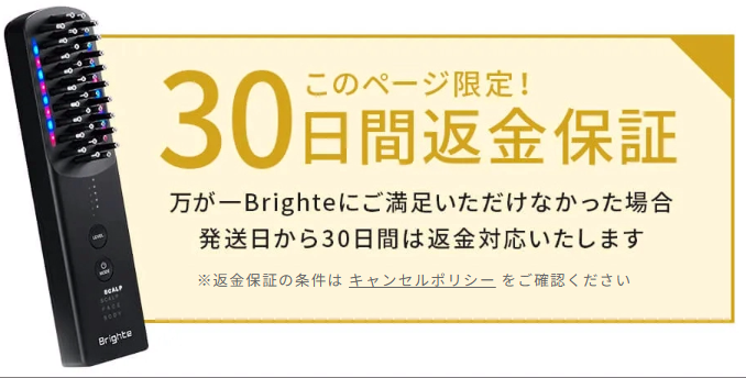 エレキブラシプラシの最安値情報