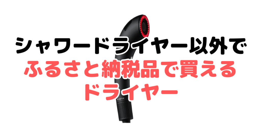 シャワードライヤー以外で「ふるさと納税品で買えるドライヤー」