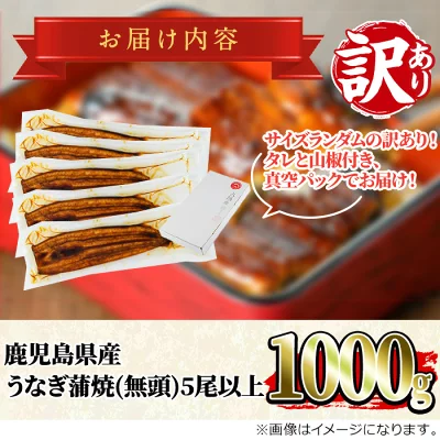 訳あり うなぎ蒲焼5尾以上・約1kg（鹿児島県東串良町）