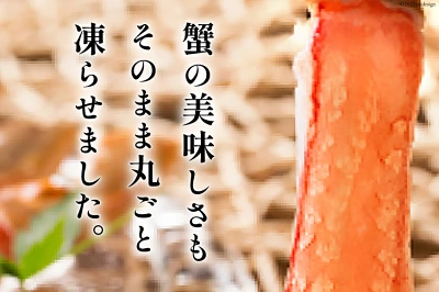 生本ずわいがに 棒肉 ポーション 20～30本入 総重量 約500g（宮城県気仙沼市）