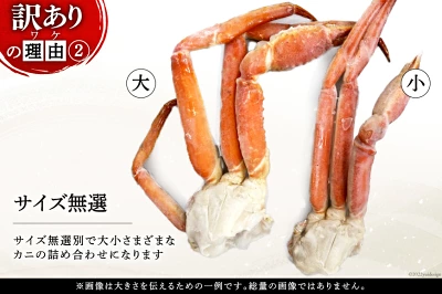 訳あり ボイル ずわいがに 肩付き脚 総重量1kg（宮城県気仙沼市）