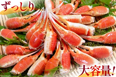 本ずわいがに爪 約700g（宮城県気仙沼市）