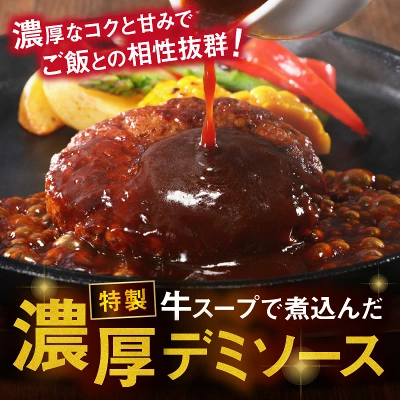 鉄板焼ハンバーグ デミソース 10個～20個（福岡県飯塚市）