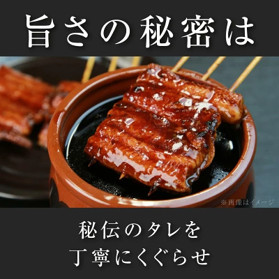 うなぎ 国産 鰻 蒲焼き 1尾～2尾 200g 330g（鹿児島県大崎町）