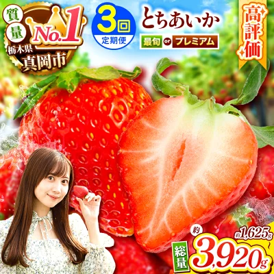 いちご とちあいか 定期便3回（栃木県真岡市）