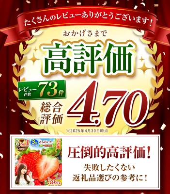 いちご とちあいか 定期便3回（栃木県真岡市）