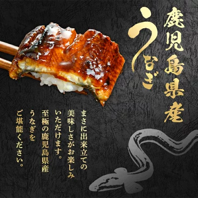 訳あり うなぎ蒲焼5尾以上・約1kg（鹿児島県東串良町）