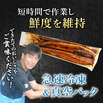 訳あり うなぎ蒲焼5尾以上・約1kg（鹿児島県東串良町）