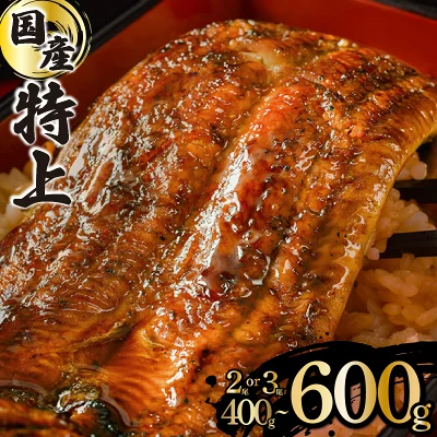 国産 うなぎ 蒲焼 2尾 計400g～3尾 計600g（佐賀県上峰町）
