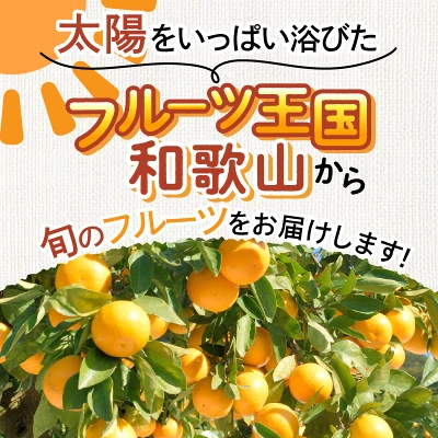 フルーツ王国和歌山のフルーツセット 1回2回4回定期便（和歌山県御坊市）