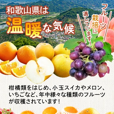フルーツ王国和歌山のフルーツセット 1回2回4回定期便（和歌山県御坊市）