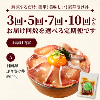 海鮮漬け丼 定期便 選べるセット 3～10回（宮崎県 延岡市）