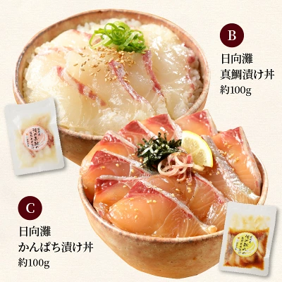 海鮮漬け丼 定期便 選べるセット 3～10回（宮崎県 延岡市）