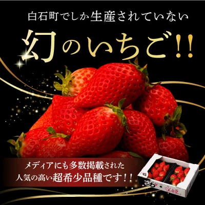 幻のいちご『咲姫（さきひめ）』2パック