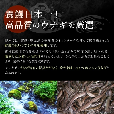 国産 うなぎ 蒲焼 2尾 計400g～3尾 計600g（佐賀県上峰町）
