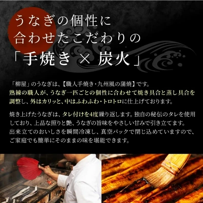 国産 うなぎ 蒲焼 2尾 計400g～3尾 計600g（佐賀県上峰町）
