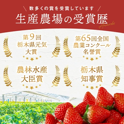 いちご とちあいか 定期便3回（栃木県真岡市）