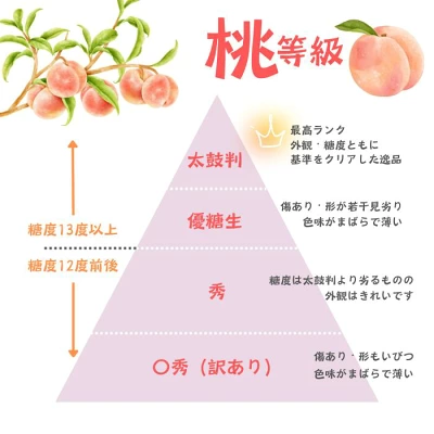 桃 あかつき 約5kg（10～18玉）