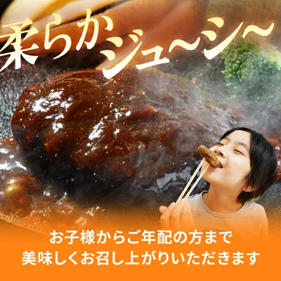 直火焼 ハンバーグ デミグラスソース 22個セット 3kg（茨城県常総市）