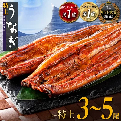 鰻 長蒲焼3~5尾（鹿児島県大崎町）
