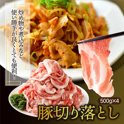 豚バラエティー 4.1kgセット（宮崎県串間市）