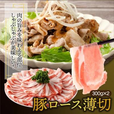 豚バラエティー 4.1kgセット（宮崎県串間市）