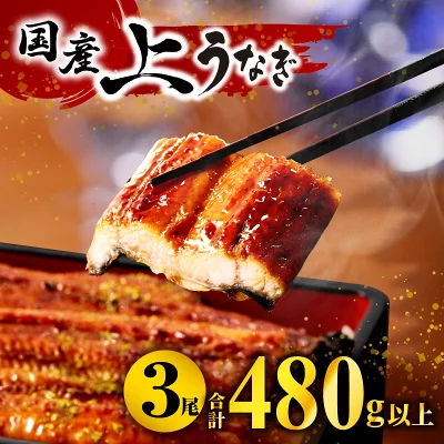九州産 うなぎ蒲焼 3尾480g以上（宮崎県宮崎市）