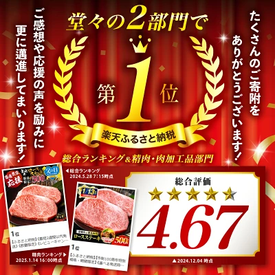 宮崎牛or黒毛和牛ロースステーキ250g×2・国産牛ハンバーグ100g×2個（宮崎県宮崎市）