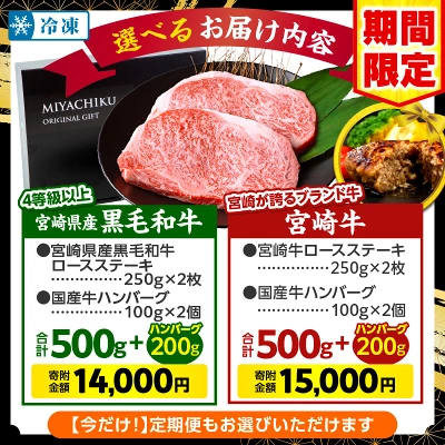 宮崎牛or黒毛和牛ロースステーキ250g×2・国産牛ハンバーグ100g×2個（宮崎県宮崎市）