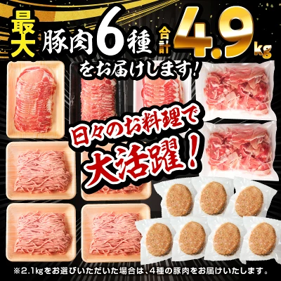 豚肉ロースバラエティセット 4.9kg 2.1kg（宮崎県宮崎市）