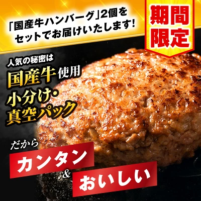 宮崎牛or黒毛和牛ロースステーキ250g×2・国産牛ハンバーグ100g×2個（宮崎県宮崎市）