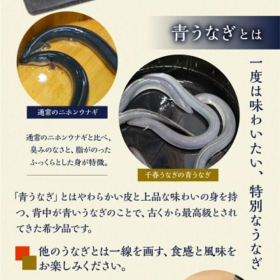 幻の青うなぎ