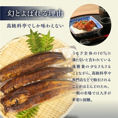 幻の青うなぎ 蒲焼 定期便 回数が選べる 3回 6回 12回（愛知県田原市）