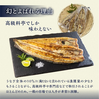 幻の青うなぎ