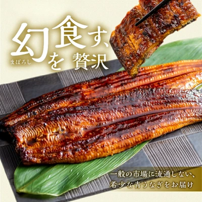 幻の青うなぎ 蒲焼 定期便 回数が選べる 3回 6回 12回（愛知県田原市）